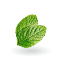 PEPPERMINT