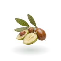 JOJOBA OIL
